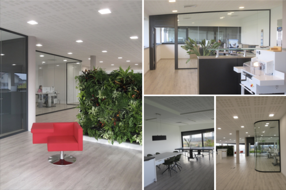 Moderne Büroräume mit grünen Pflanzen und rotem Sessel, hell und einladend.